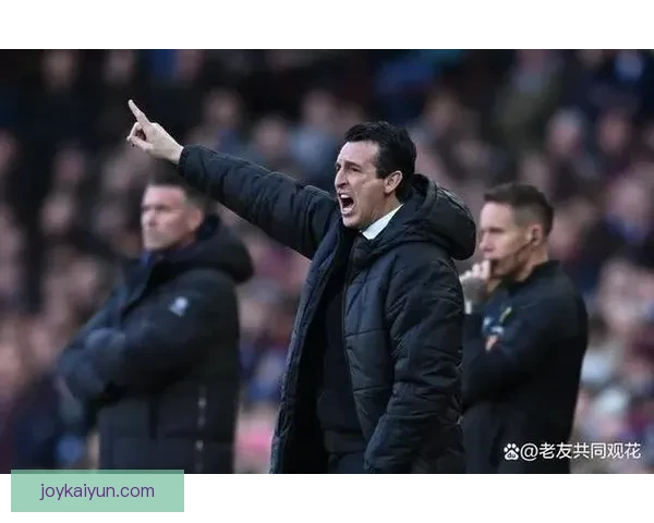 维拉阵容深度分析，迎来新赛季挑战与机遇并存，值得关注整体表现。