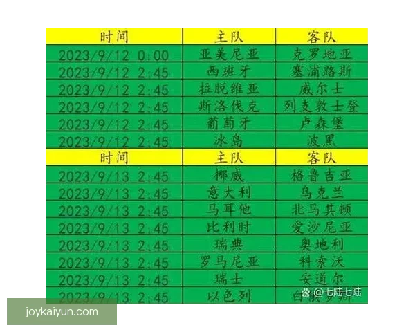 欧洲杯黄牌累积情况分析，部分球队面临球员缺阵风险